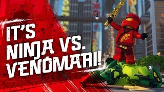 Tales from the Monastery of Spinjitzu - LEGO NINJAGO - Elemental Rider