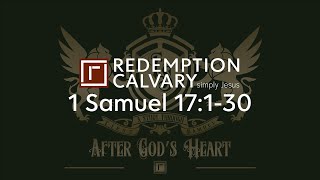 1 Samuel 17:1-30