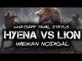 LION VS HYENA STORY WITH LYRICS /IMAIKKA NODIGAL /TAMIL WHATSAPP STATUS