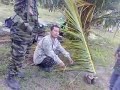 image Tali Barut Pengganas Sulu Di Tanduo Lahad Datu