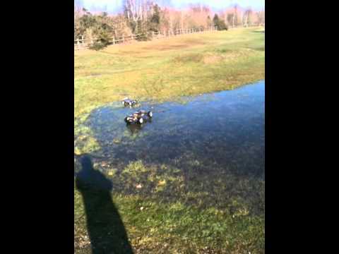 hpi baja and bsd ep8 on ice!!