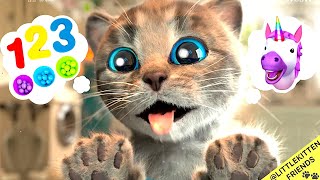 Little Kitten Preschool Adventure Educational Games - Play Fun Cute Kitten Best Learning Game #1080