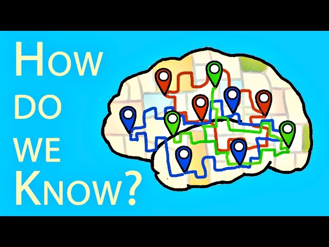 Which Parts Of The Brain Do What? - Video