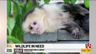 USHS Helping Animals In Need