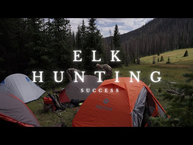 Watch 5 Mistakes that Beginner Elk Hunters Make! on YouTube.