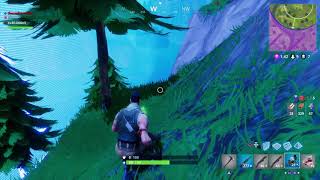 FORTNITE FUNNY CLIP!