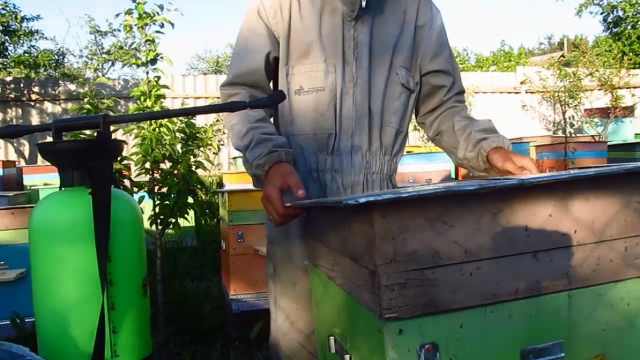 Причёски в ресторан Причёски в ресторан