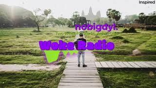 Watch Nobigdyl Two Weeks Notice video