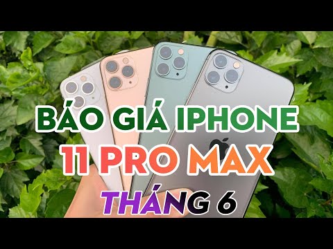 Báo giá IPhone 11 PRO MAX Tại MSM.vn Tháng 6/2021