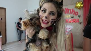 Vem rir e se divertir com a nossa Família 😂🤣 FESTINHA DE CACHORRO 🐾 1º Aninho do TODDYNHO 🎂🎉🎁🎈💝
