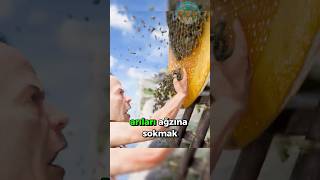 Eğer Arıları Ağzına Sokarsan...