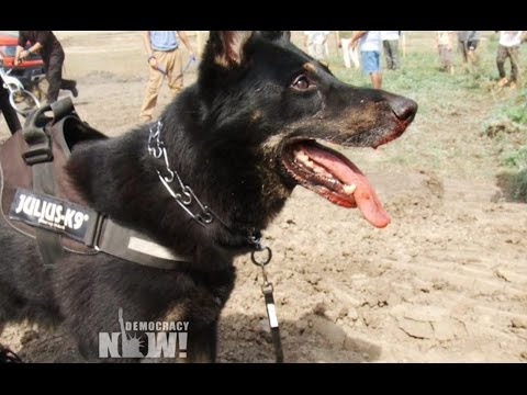 Arrest Warrant Out For Amy Goodman After Pipeline Coverage