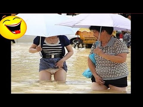 Best Funny Videos - Try to Not Laugh 😆😂🤣#139