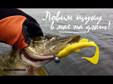 правильная ловля щуки на джиг правильная ловля щуки на джиг