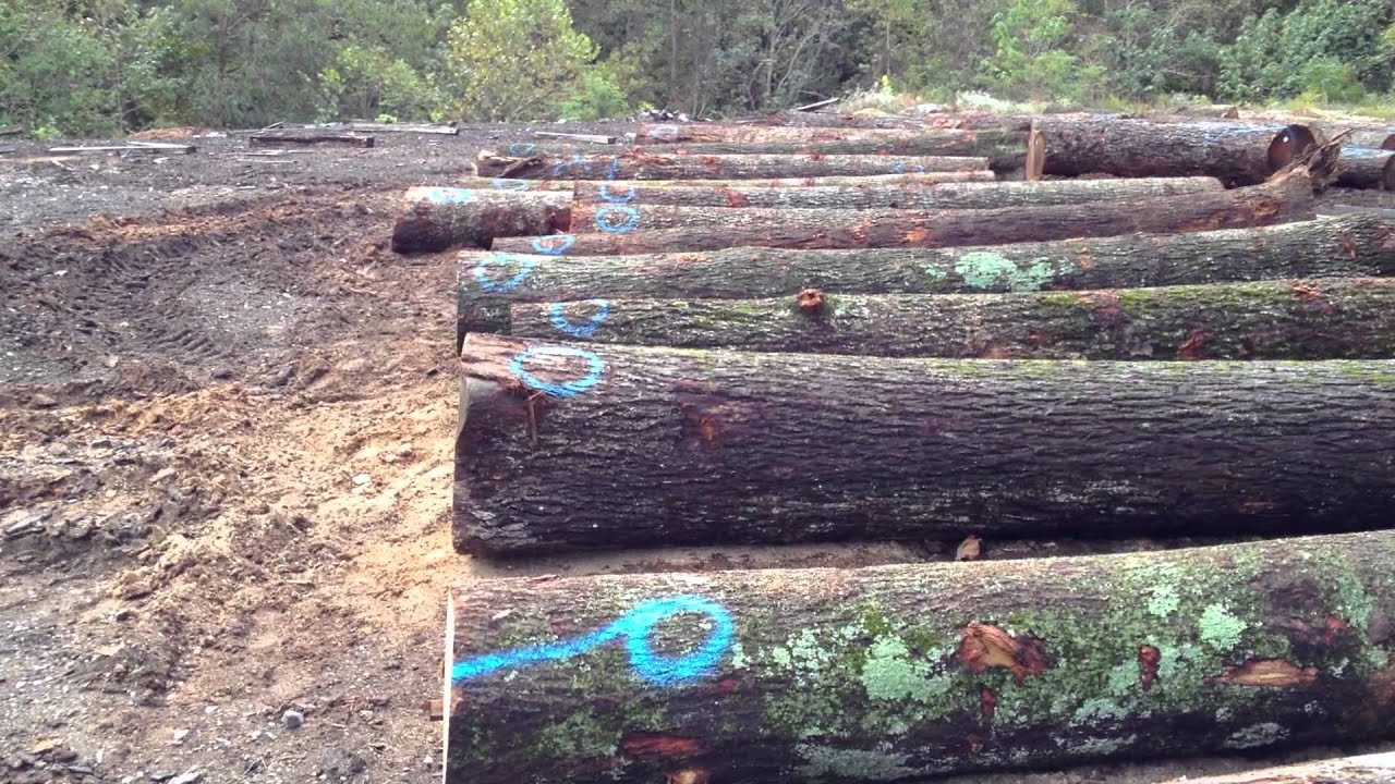 ATI International Logs