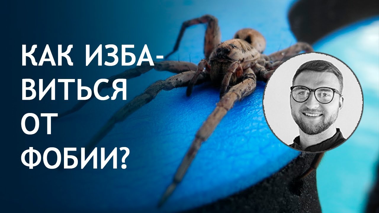 Агорафобия как вылечиться самостоятельно Агорафобия как вылечиться самостоятельно