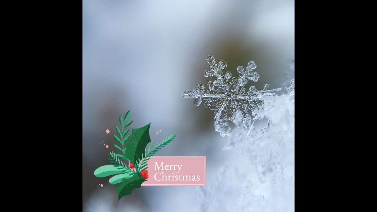 Christmas 2021- FREE