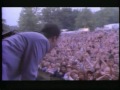 UB40 Finsbury Park concert 1991