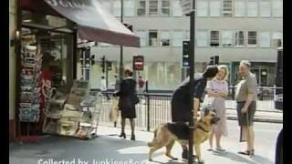 Trigger Happy TV - All Stuffed Dog Scene /Collected By JunkieeeBoy/