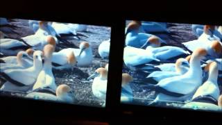 Windows 7 Sample Video
