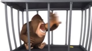 Gorilla Eats Monkey Taeb
