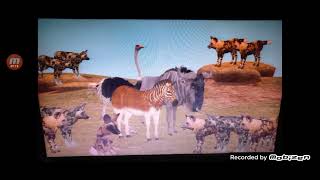 Khumba Movie Mama V And Bradley Save Khumba From Wild Dog Pack