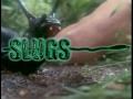 Download Slugs: The Movie (1988)