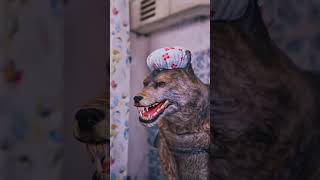 Wolf Family Have Problems