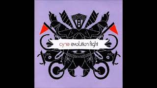 Watch Cyne Evolution Fight video