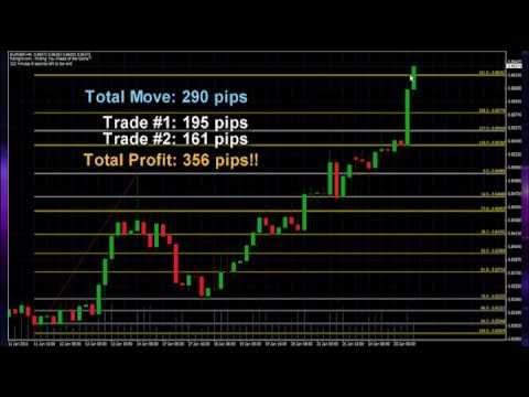 Fxknight forex