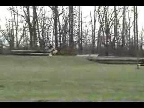 Cross Country Jumping Derby- Cross Country Jumping Water. Cross Country Jumping Derby-