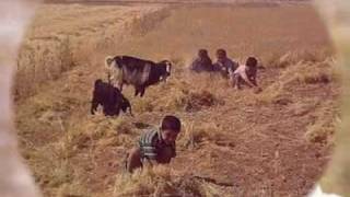 Sanliurfa Suruc Suya Hasret Topraklar