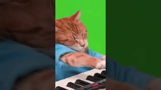 Keyboard Cat Green Screen