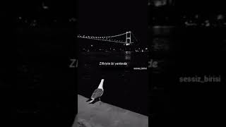 Anlamlı Videolar Duygusal Videolar Bir Dakikalık Kısa Videolar