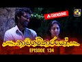 Nadagamkarayo Episode 134