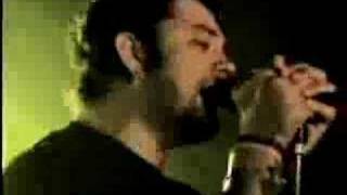 Watch Edgewater Caught In The Moment video