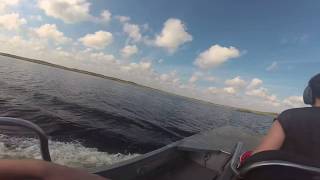 Airboat au coeur des Everglades, en Floride, Etats-Unis