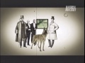 ABC canino pastor belga malinois