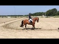 Jessica Mol - Zie-Zo | M1 - Proef 15 | Heiloo