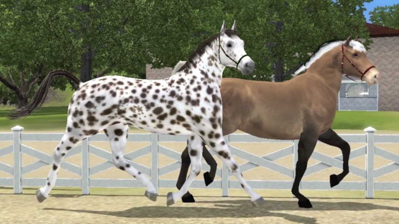 How Do You Buy A Horse On Sims 3 Pets