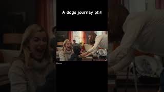 A Dogs Journey 45