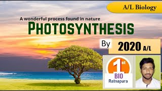 Photosynthesis
