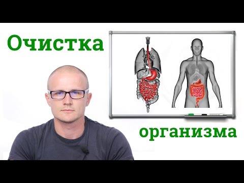Лапси-Лапси - одежда для кукол Каталог Betty Barclay в Минске, купить одежду Betty Barclay с доставкой