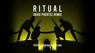 Tiësto, Jonas Blue, Rita Ora - Ritual (David Puentez Remix)