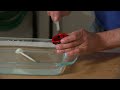 paint sprayer how to