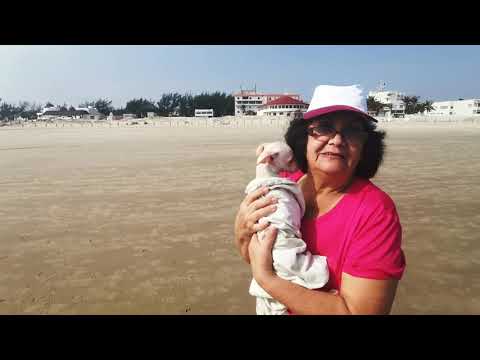 Blanquita y coffee en la playa parte 2