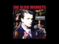 TMRS: Dr.Robert (The Blow Monkeys) interview on WFDU