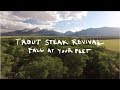 Fall at Your Feet (Official)