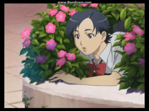 Video haji blood plus quotes Video haji blood plus quotes