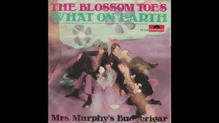 Watch Blossom Toes What On Earth video